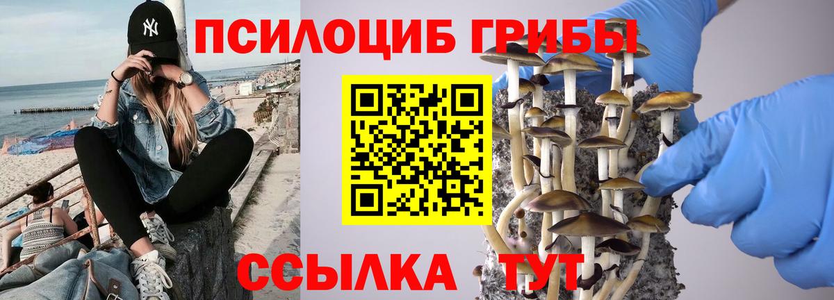 Галлюциногенные грибы прущие грибы Великий Устюг